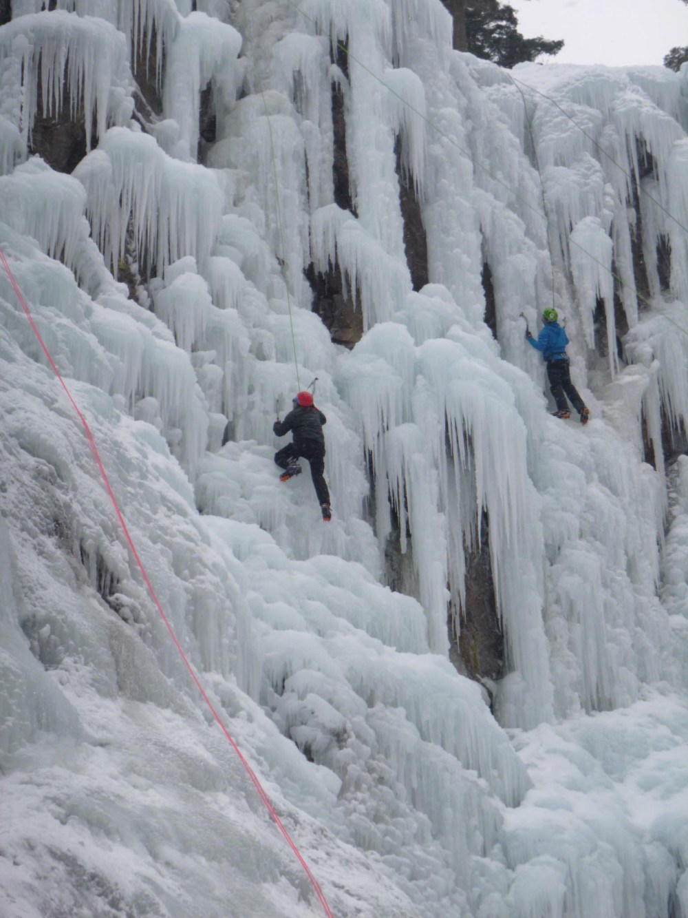 Image 1-13-16 at 11.29 AM